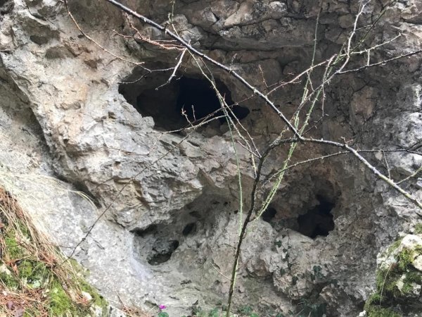 Jandarma dağlarda terörist izi aradı