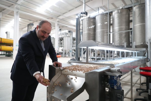 Bakan Varank: Bu proje ile dağ taş fıstık ağacı oldu