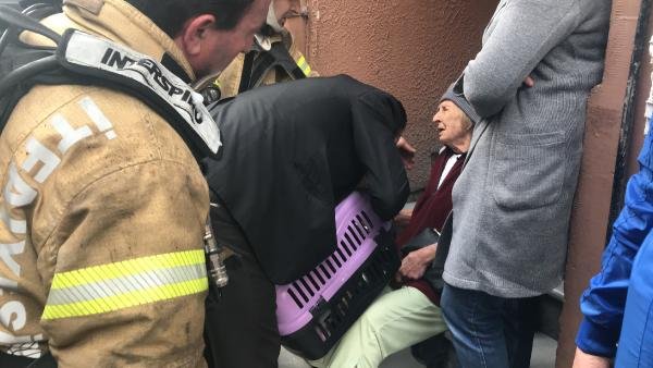 Yangında mahsur kalan kadın ve kedisinin zor anları