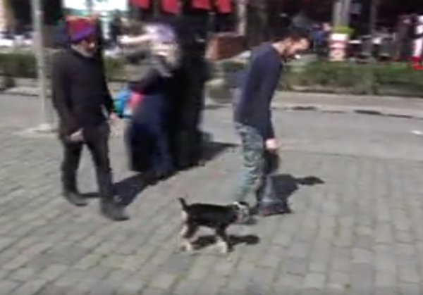 Yavru keçiyle yürüyüş yapan Trabzonlu