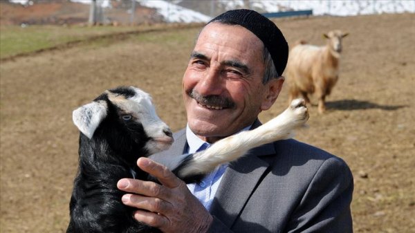 Bingöllü çobana 'koyunlarla imtihanı' ün getirdi
