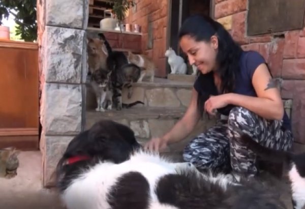 Evinde 75 kedi besliyor