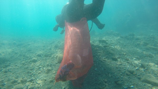 a Bodrum'da denizden çıkanlar hayrete düşürdü