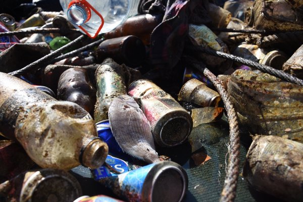 a Bodrum'da denizden çıkanlar hayrete düşürdü