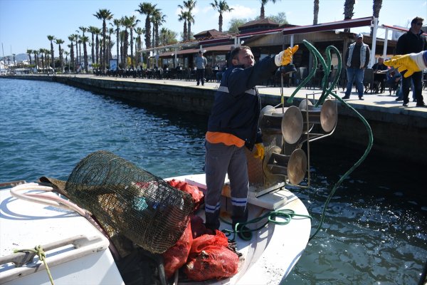 a Bodrum'da denizden çıkanlar hayrete düşürdü