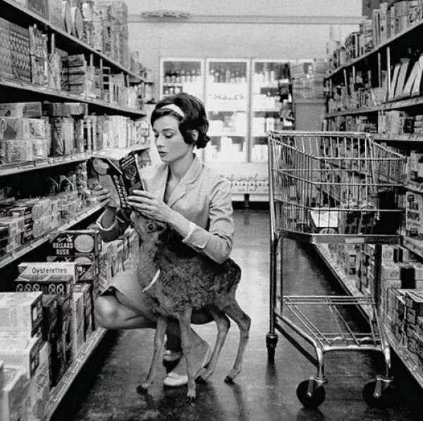 Salvador Dali'nin karıncayiyeniyle fotoğrafı