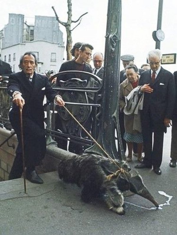 Salvador Dali'nin karıncayiyeniyle fotoğrafı