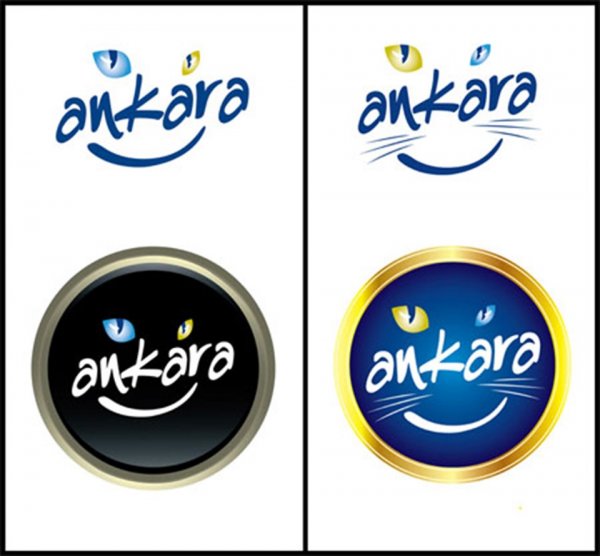 CHP'liler Ankara için ilk kampanyayı başlattı