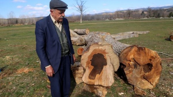 a Ağaç gövdesinden kadın silüeti çıktı