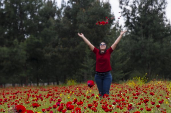 Amanos Dağları eteklerindeki gelincik tarlası