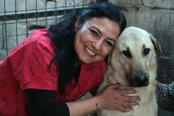 Hayvanseverin şefkati Kuyu'yu hayata döndürdü