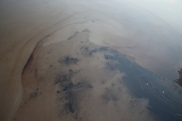 Otlu Çayı ziftlendi