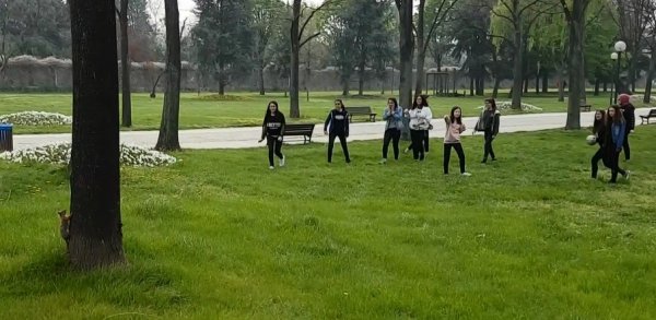 Parkta sincap gören gençler şoke oldu