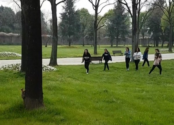 Parkta sincap gören gençler şoke oldu