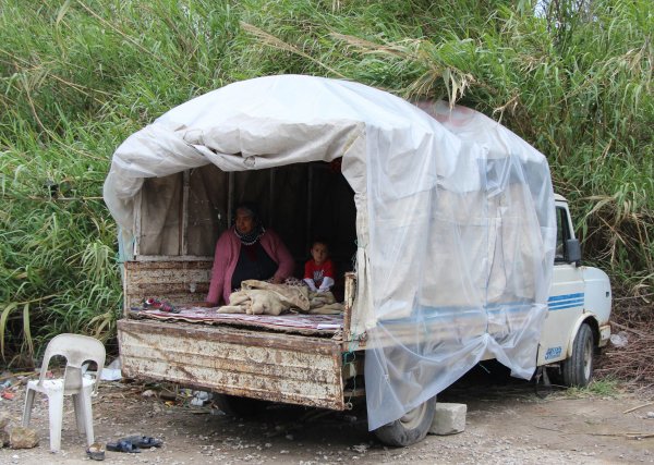i Kamyonet kasasında umutlu bekleyiş