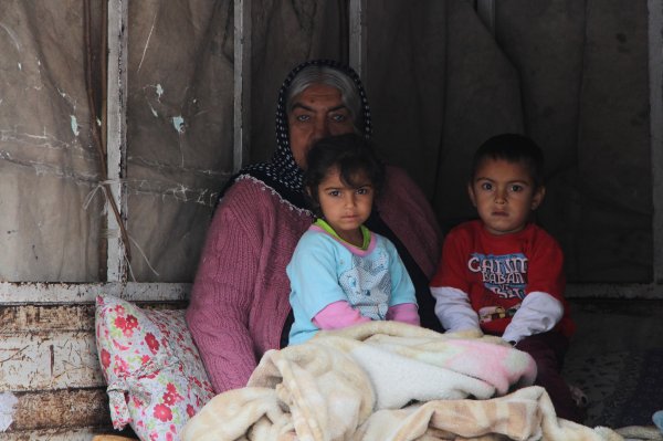 i Kamyonet kasasında umutlu bekleyiş