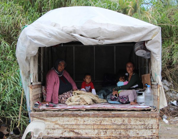 i Kamyonet kasasında umutlu bekleyiş