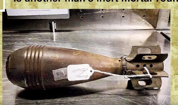 d ABD’de yolcuların bagajlarından çıkanlar