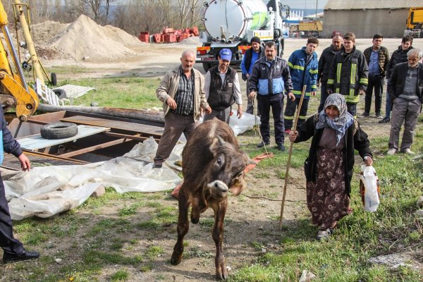 Mahsur kalan dana için seferber oldular