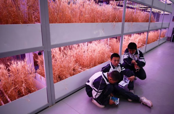 r Gobi Çölü'ne uzay üssü kuruldu