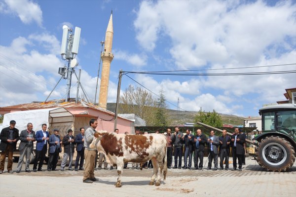 Elbistan fazla yağış alınca, kurban kesildi