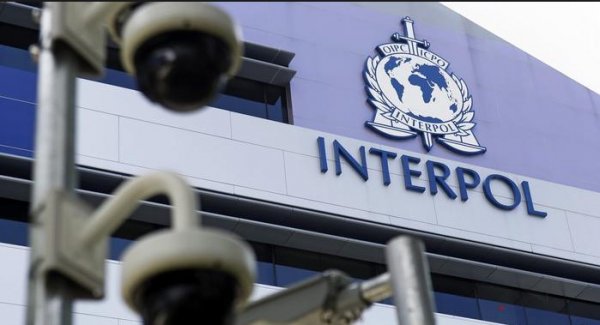 Interpol nedir