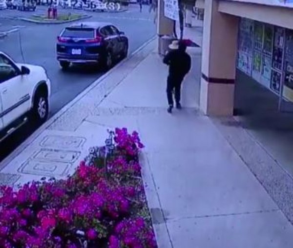 Çantasını kaptırmamak isterken hayatını kaybetti