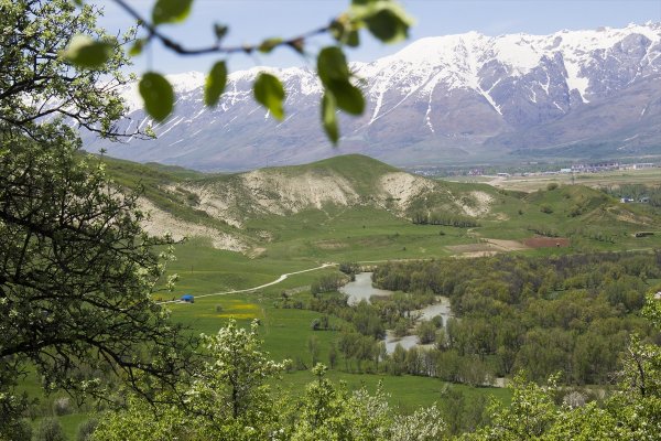 Tunceli düzlükleri yeşile büründü