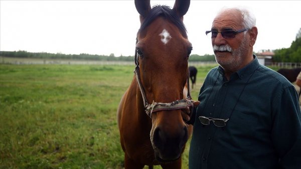 a 60 yıldır şampiyon atları yetiştiriyor