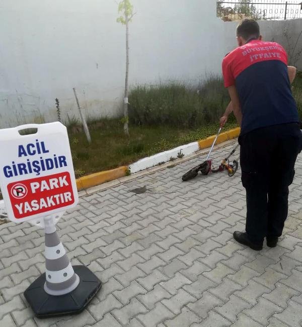 d Hastane bahçesinde yakalanan yılan doğaya salındı