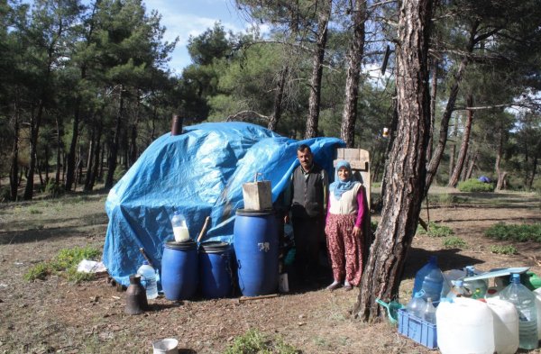 i Şehri bırakıp ormana yerleşti