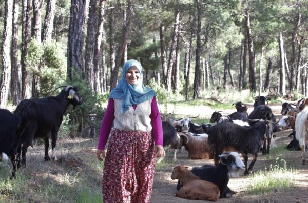 i Şehri bırakıp ormana yerleşti