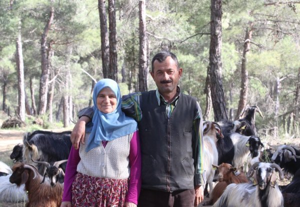 i Şehri bırakıp ormana yerleşti