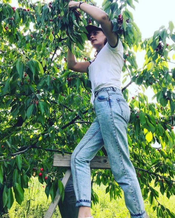 Aslıhan Gürbüz kiraz ağacına daldı