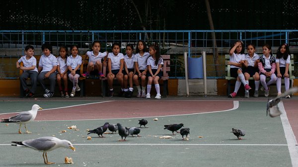 Teneffüs arası martı besleme nöbeti