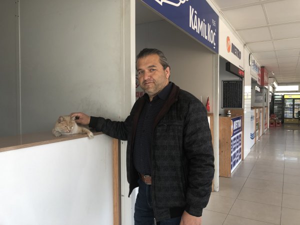 i Terminalin kedisi Sarı, köpeklerin korkulu rüyası