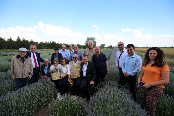 Edirne, Lavanta Tarla Günleri'yle hareketlenecek