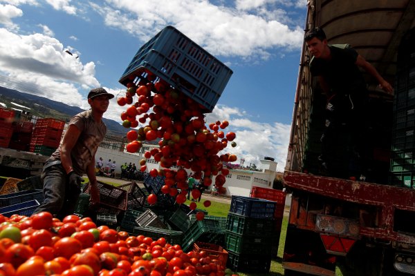 r Kolombiya'da domates savaşları