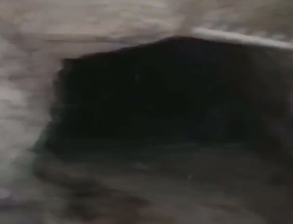 Teröristlerin 500 metrelik mağarası imha edildi