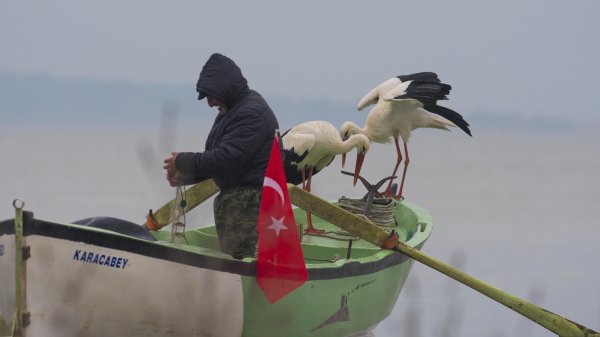 8 yıldır Adem Amca'yı ziyaret eden leylek bu yıl eşiyle geldi