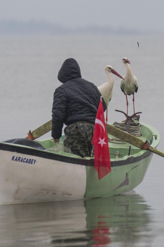 8 yıldır Adem Amca'yı ziyaret eden leylek bu yıl eşiyle geldi