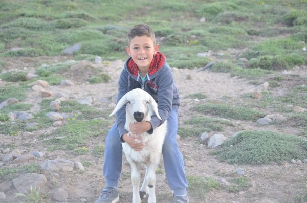 Erciyes Dağı'nda zorlu yayla hayatı başladı