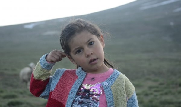 Erciyes Dağı'nda zorlu yayla hayatı başladı