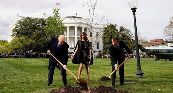 Trump ile Macron'un fidanı kurudu