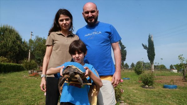 a 'Şanslı' kaplumbağa, yapay kabuğuyla hayata tutundu