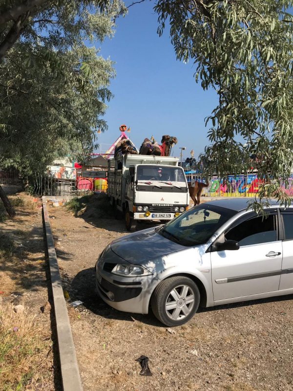 Mudanya Belediyesi Suriyelileri sahilden uzaklaştırdı