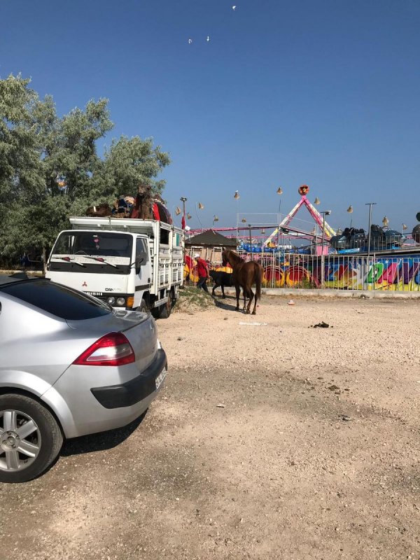 Mudanya Belediyesi Suriyelileri sahilden uzaklaştırdı