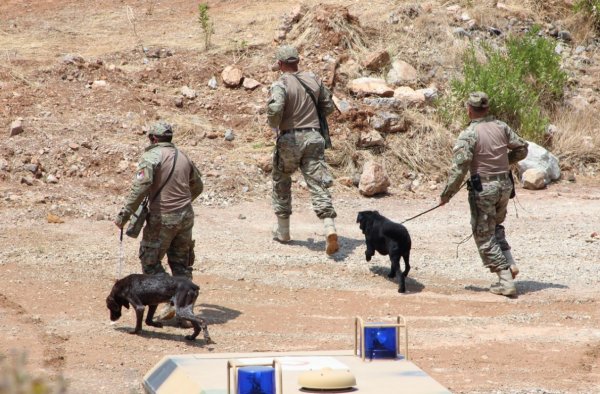 Geleneksel Şehit Teğmen Caner Gönyeli tatbikatı yapıldı
