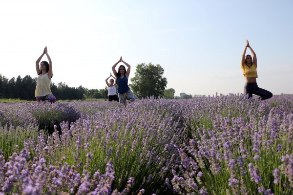 Lavanta bahçelerinde güneşi selamlayan Edirneliler