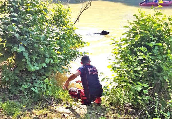 İ Bartın'da mahsur kalan mandaya operasyon